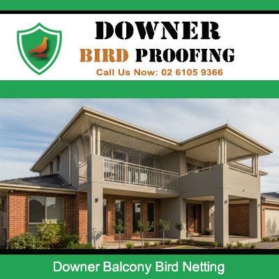 Quality balcony bird netting solution for Downer Canberra residence preventing bird droppings