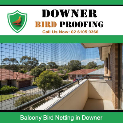 Completed balcony bird netting in Downer protecting residential balcony from pest bird entry