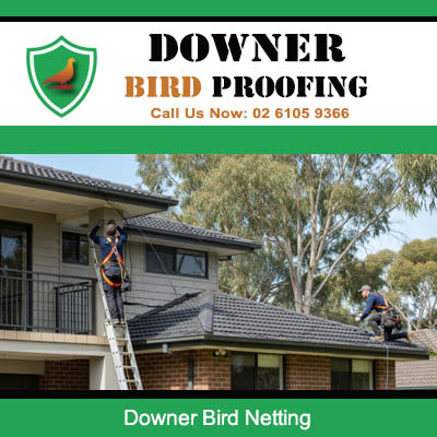Professional bird netting installation on Downer residential roof by experienced technicians