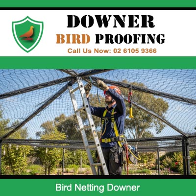 Expert technician fitting bird netting in Downer to prevent birds entering covered area