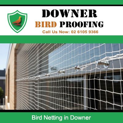Quality bird netting in Downer Canberra securing residential property against bird infestation