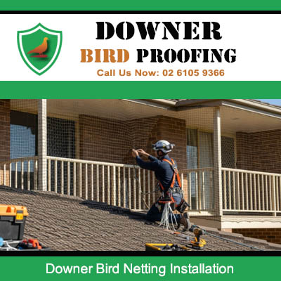 Professional bird netting installation specialist working on Downer residential balcony area