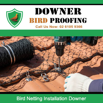 Bird netting installation process in Downer showing professional fixing and securing techniques