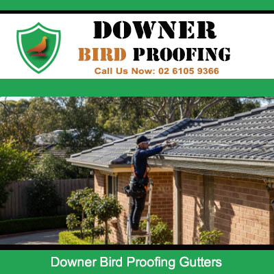 Quality bird proofing gutters installation in Downer Canberra securing roofline and drainage system