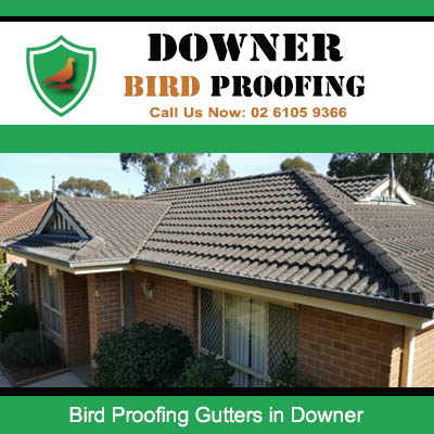 Residential property in Downer with bird proofing gutters protecting roof edges from pest birds