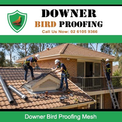 Skilled workers securing bird proofing mesh on Downer home roof protecting vulnerable entry points