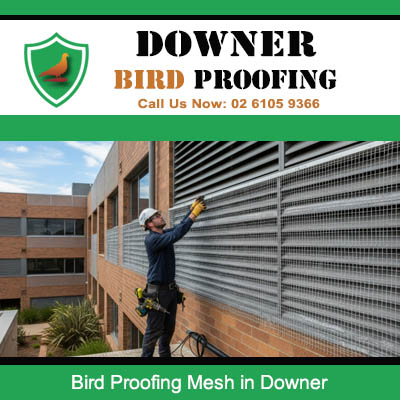 Professional bird proofing mesh service in Downer securing architectural openings from pest birds