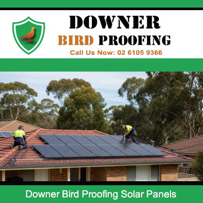 Professional bird proofing installation around solar panels on Downer residential roof