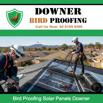 Bird proofing specialists installing mesh protection around solar panels in Downer suburb