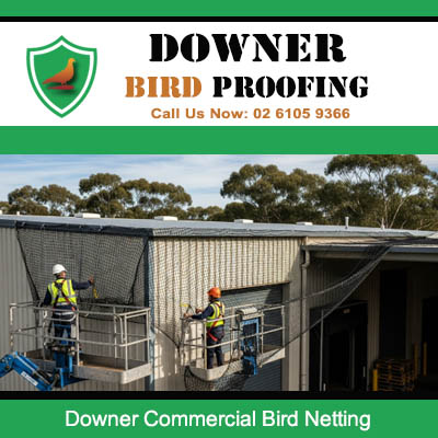 Quality commercial bird netting installation for Downer industrial property preventing bird damage