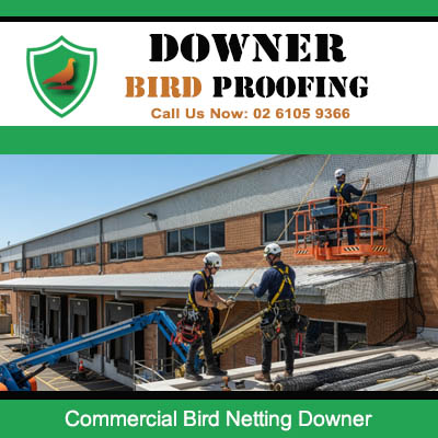 Commercial bird netting installation team working on Downer business building facade